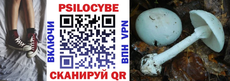 гидра как войти Белокуриха Псилоцибиновые грибы мицелий купить цена